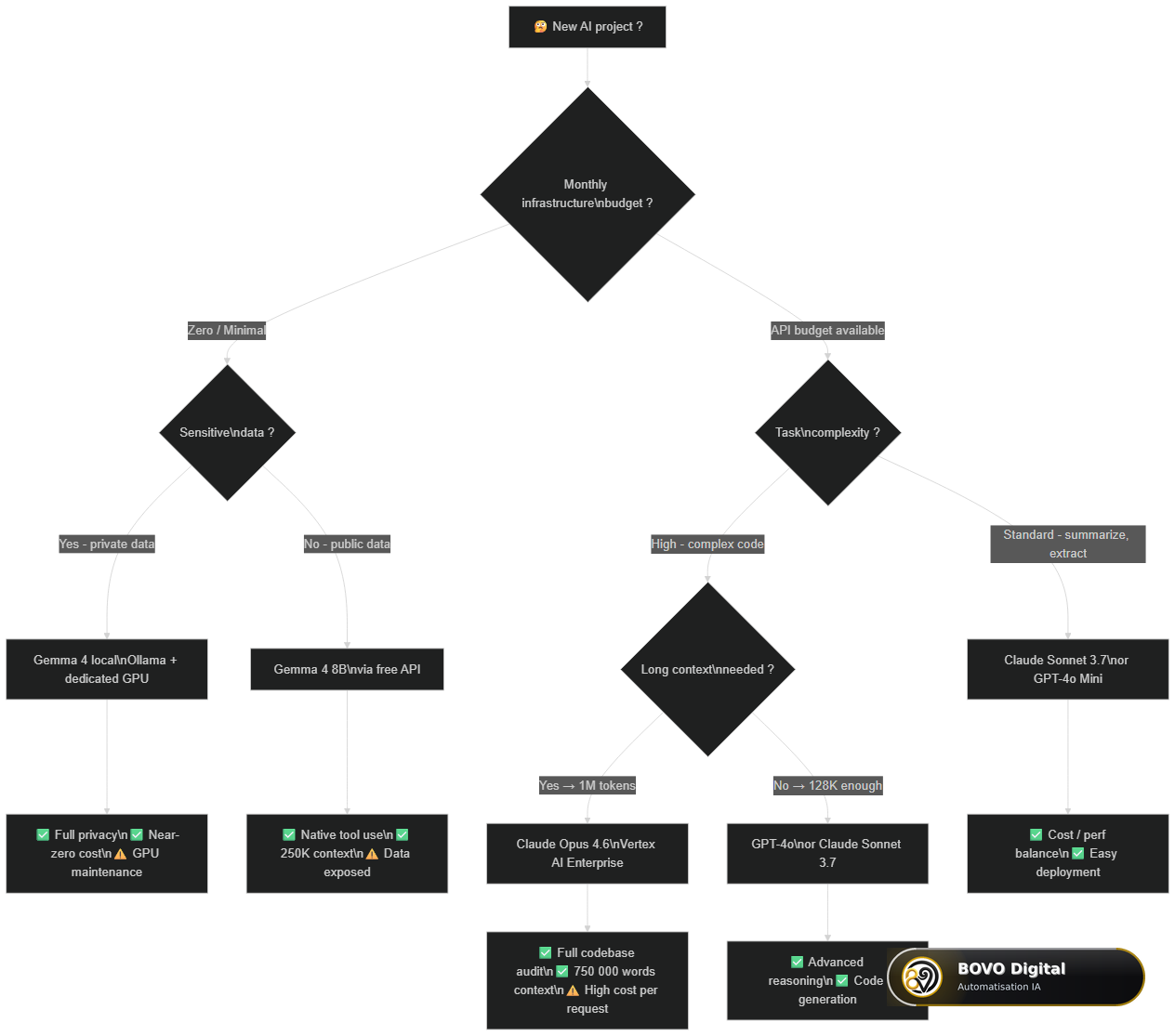 Decision tree: which AI model to choose based on budget, privacy, and complexity