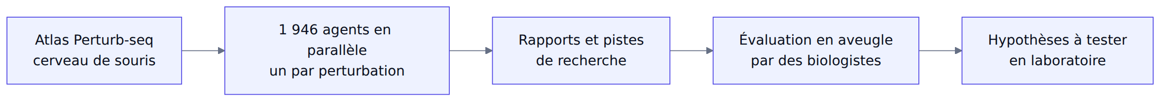 Le déroulé de l'expérience